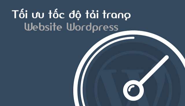 CTrường dữ liệu