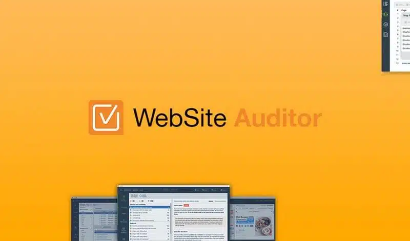 Website Auditor 
