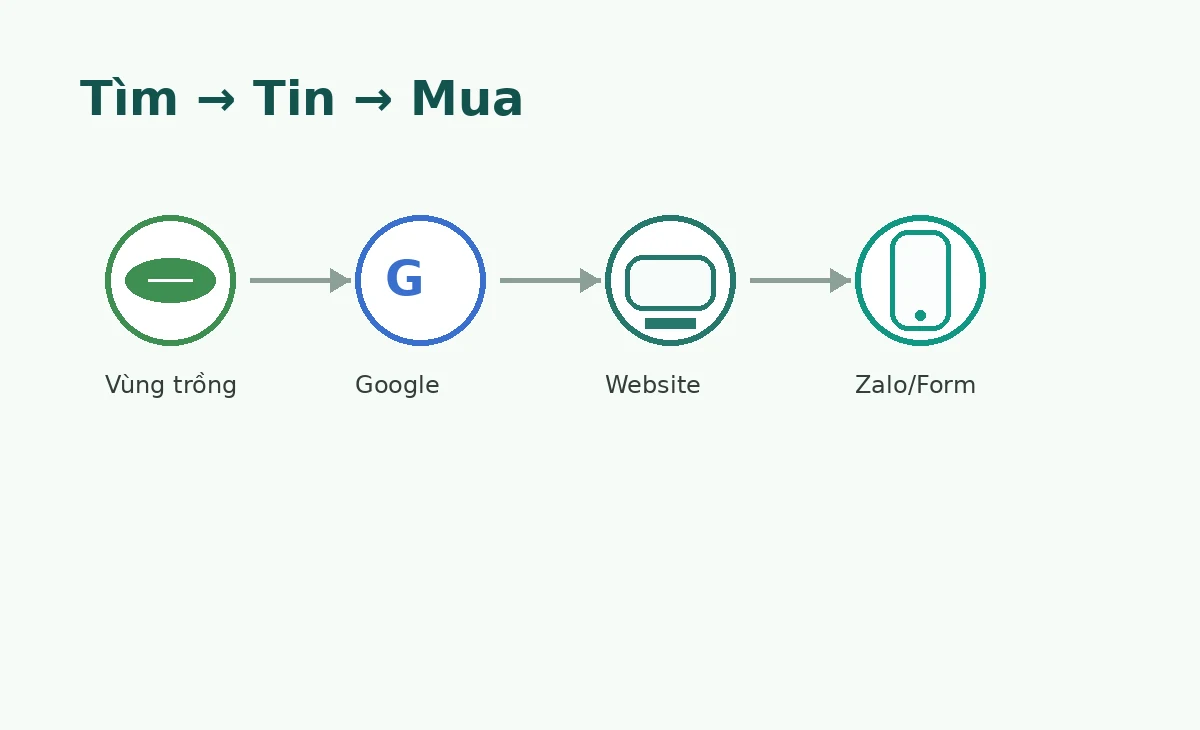 Hành trình khách mua nông sản từ tìm kiếm đến đặt hàng